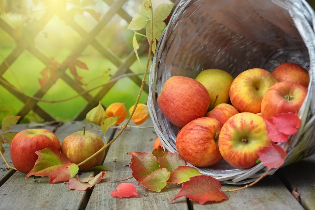 apples, leaves, fall, still life, basket, autumn, harvest, produce, nature, organic, fruit, food, light, apples, apples, apples, apples, fall, fall, fall, fall, fall, still life, autumn, autumn, autumn, autumn, fruit, fruit, fruit, fruit, food, food, food